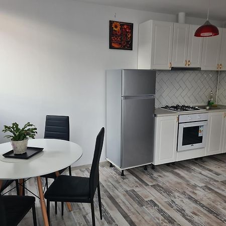 Luxury Apartments Mall Area Bacău Eksteriør bilde